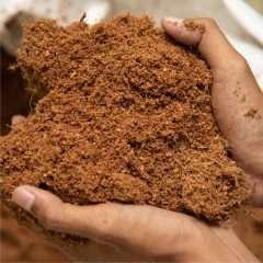 Coir