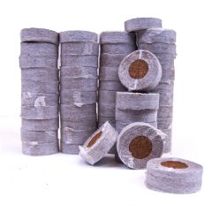 Coco Plugs